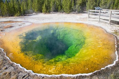 Yellowstone Ulusal Parkı, ABD 'de renkli sıcak su havuzu