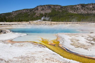 Yellowstone Ulusal Parkı 'ndaki kara kum gayzer havzası, ABD