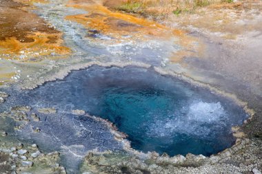Yellowstone Ulusal Parkı, ABD 'de renkli sıcak su havuzu
