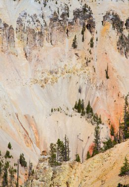 Yellowstone Ulusal Parkı 'ndaki Şelale ve Kanyon, Wyoming, ABD