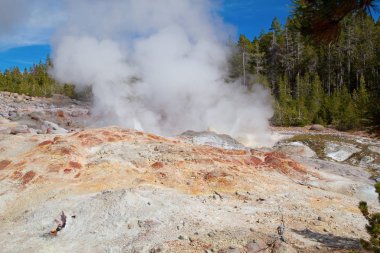 Norris gayzer havzası Yellowstone Ulusal Parkı, ABD
