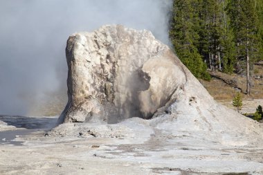 Yellowstone Ulusal Parkı 'nda gayzer patlaması, ABD