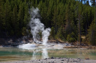 Norris gayzer havzası Yellowstone Ulusal Parkı, ABD