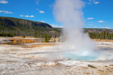 Yellowstone Ulusal Parkı 'ndaki kara kum gayzer havzası, ABD