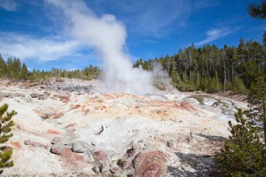 Norris gayzer havzası Yellowstone Ulusal Parkı, ABD