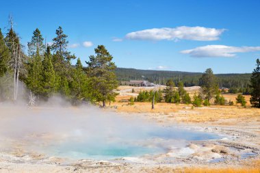 Yellowstone Ulusal Parkı, ABD 'de renkli sıcak su havuzu