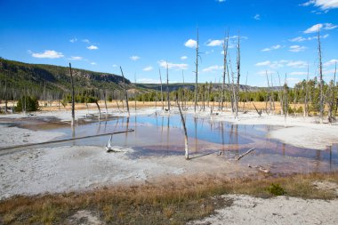 Yellowstone Ulusal Parkı 'ndaki kara kum gayzer havzası, ABD