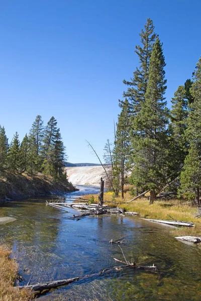 Firehole River Yellowstonském Národním Parku — Stock fotografie