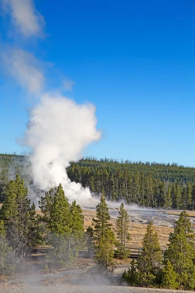 Old Faithful Geyser Eruption Yellowstone National Park Usa — Stock Photo, Image