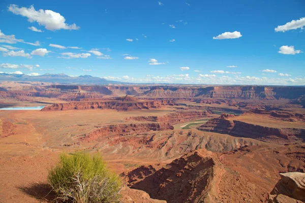 Dead Horse State Park Canyonlands Narional Park Utah Usa — Stock Photo, Image