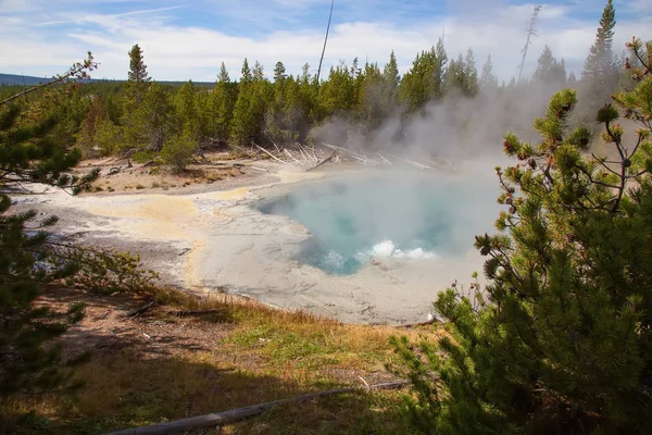 Bacia Geyser Norris Parque Nacional Yellowstone Eua — Fotografia de Stock