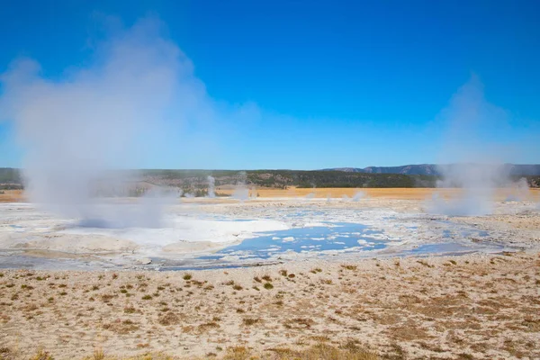 Lower Geyser Basin Yellowstone National Park Usa — Stock Photo, Image