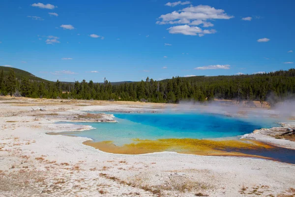 Colorida Piscina Agua Caliente Parque Nacional Yellowstone —  Fotos de Stock
