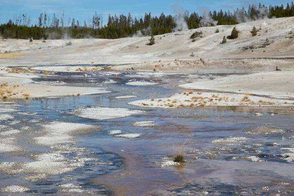 Υδρολογική Λεκάνη Norris Geyser Στο Εθνικό Πάρκο Yellowstone Ηπα — Φωτογραφία Αρχείου