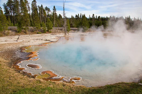 Dolní Gejzír Yellowstonském Národním Parku Usa — Stock fotografie