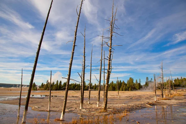 Dolní Gejzír Yellowstonském Národním Parku Usa — Stock fotografie