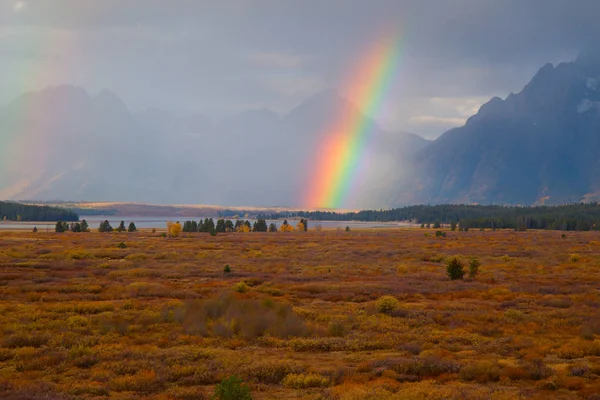 Grand Teton National Park Wyoming Eua — Fotografia de Stock