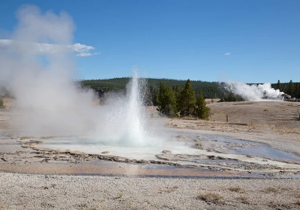 Geysir Ausbruch Yellowstone Nationalpark Usa — Stockfoto