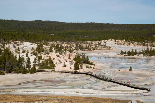 Cuenca Del Géiser Norris Parque Nacional Yellowstone Estados Unidos — Foto de Stock