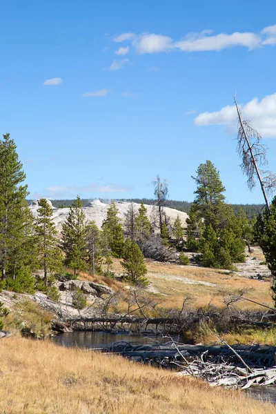 Firehole River Yellowstonském Národním Parku — Stock fotografie