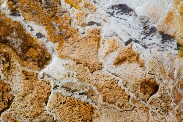 Mammoth Hot Springs Nel Parco Nazionale Yellowstone Wyoming Usa — Foto Stock