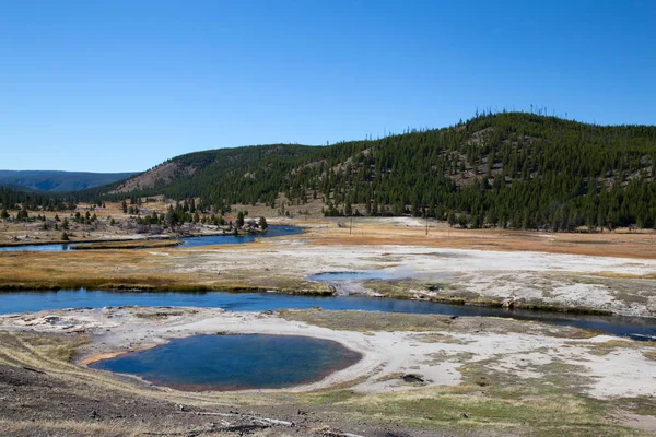 Dorzecze Dolnego Gejzera Parku Narodowym Yellowstone Usa — Zdjęcie stockowe