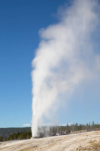 Erupção Geyser Parque Nacional Yellowstone Eua — Fotografia de Stock