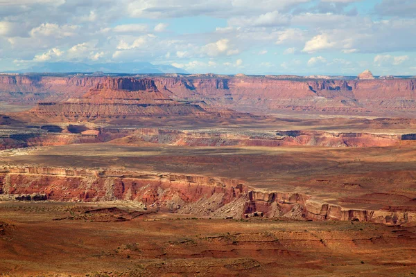 Острів Неба Canyonlands Narional Park Юті Сша — стокове фото