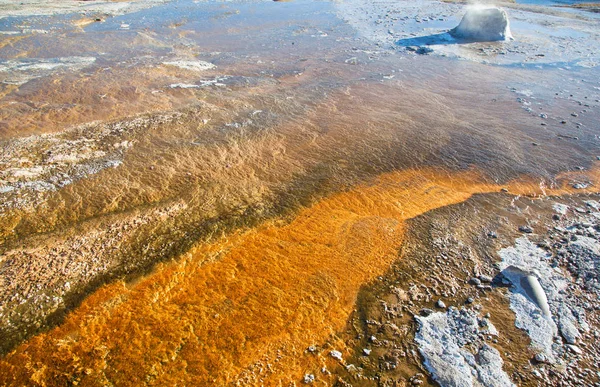 Colorful Hot Water Pool Yellowstone National Park Usa — Stock Photo, Image