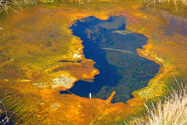 Barevný Horkovodní Bazén Národním Parku Yellowstone Usa — Stock fotografie