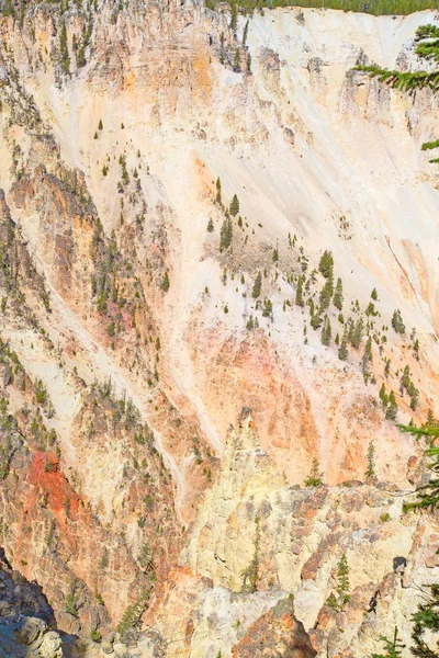 Cascada Cañón Parque Nacional Yellowstone Wyoming — Foto de Stock