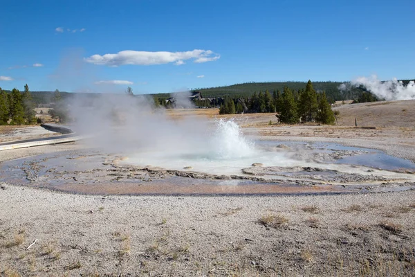 Sawmill Geyser Eruption Yellowstone National Park Usa — Stock Photo, Image