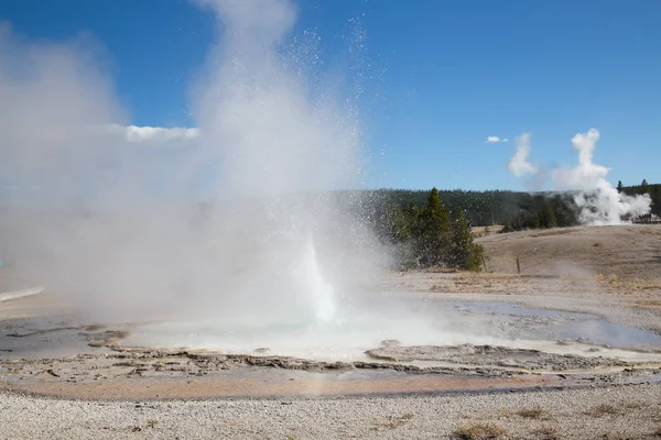 Sawmill Geyser Eruption Yellowstone National Park Usa — Stock Photo, Image