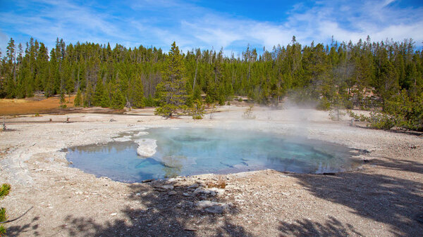 Norris geyser basin in the Yellowstone National park, USA