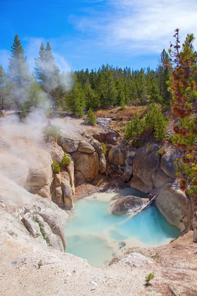 Bacino Geyser Norris Nel Parco Nazionale Yellowstone Stati Uniti Immagini Stock Royalty Free