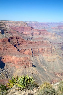 Büyük Kanyon 'un Güney Halkası. Arizona 'daki 