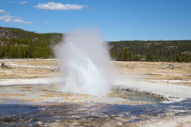Yellowstone Ulusal Parkı 'ndaki kara kum gayzer havzası, ABD