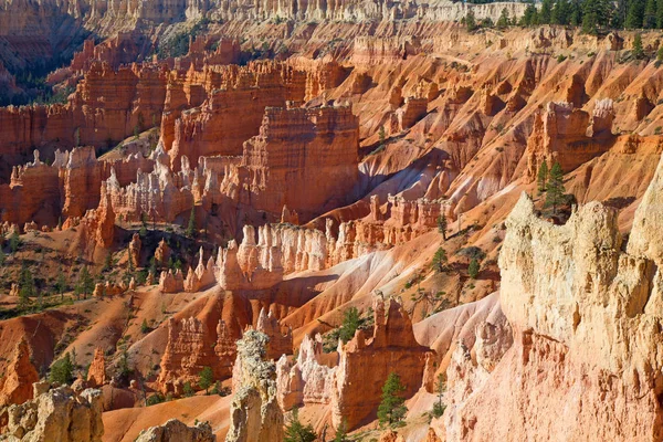 Bryce Canyon Ulusal Parkı Utah, ABD