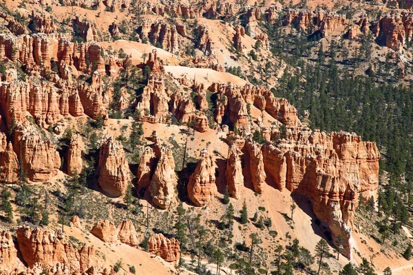 Bryce Canyon National Park Utah Verenigde Staten — Stockfoto