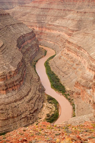 Goosenecks Parque Estadual Rio San Juan Utah Eua — Fotografia de Stock