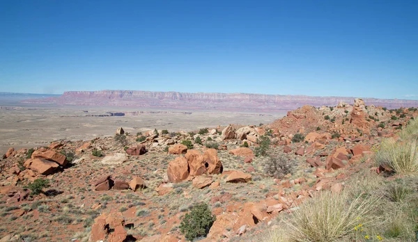 Sul Bordo Sud Del Grand Canyon Parco Nazionale Del Grand — Foto Stock