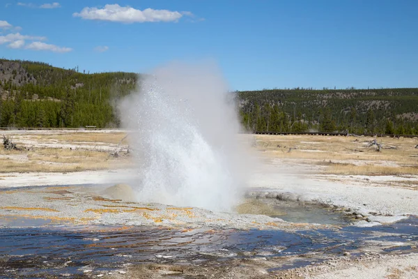 Yellowstone Ulusal Parkı 'ndaki kara kum gayzer havzası, ABD