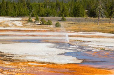 Yellowstone Ulusal Parkı 'ndaki kara kum gayzer havzası, ABD