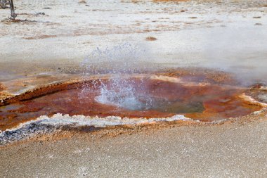 Yellowstone Ulusal Parkı 'ndaki kara kum gayzer havzası, ABD