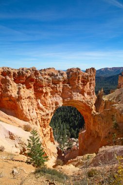 Bryce Canyon Ulusal Parkı Utah, ABD