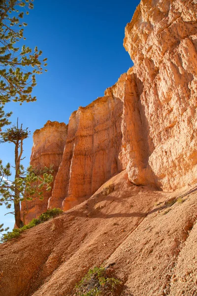 Bryce Canyon National Park Utah Usa — Stock Photo, Image