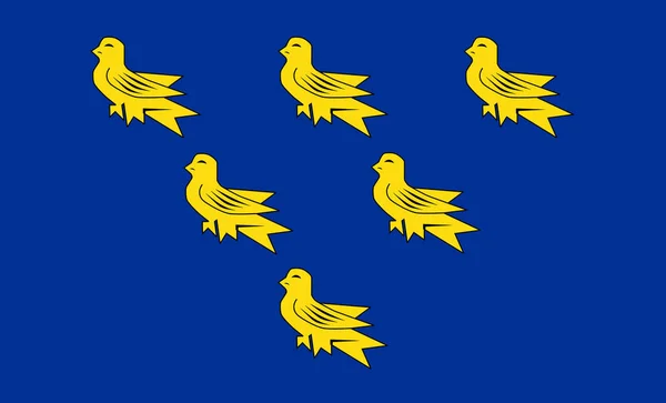 Sussex Bandeira Condado Inglaterra Símbolo Reino Unido — Fotografia de Stock