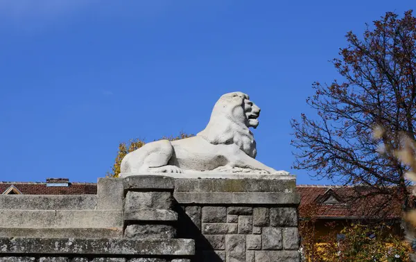 罗曼尼亚城市标志性狮子纪念碑 — 图库照片