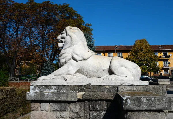 Şehir Romanya Anıt Kahramanlar Simgesel Yapı Aslan Severin Drobeta Turnu — Stok fotoğraf