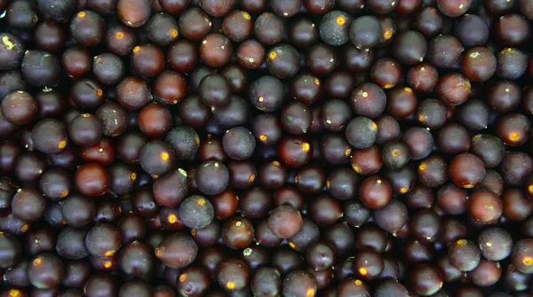 European Nettle Tree Honeyberry Fruits Texture Backgound — Stock Photo, Image